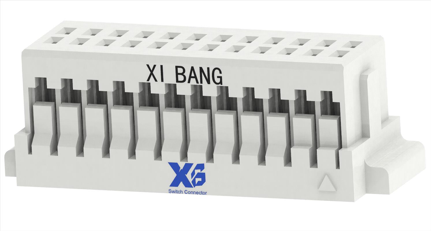 XB-X10-CI1124SD000-NH