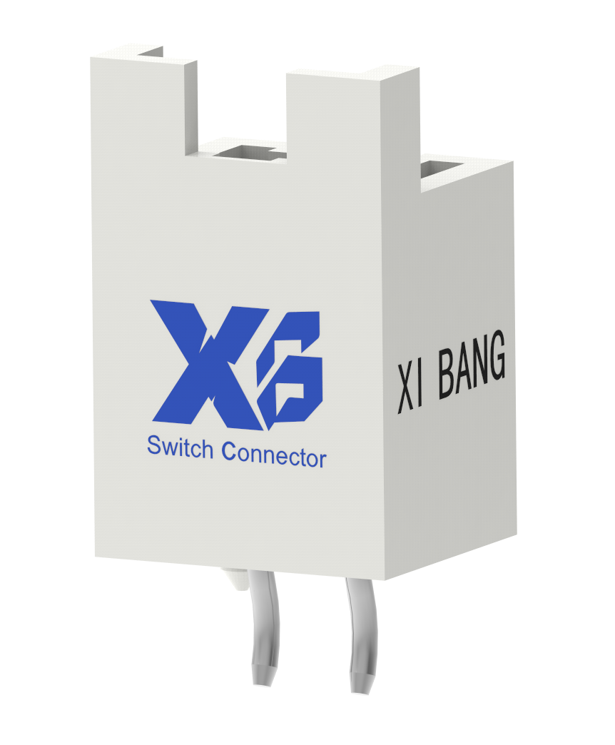 XB-X25-CIEP-02P1VKP-NH