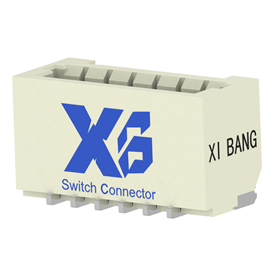 XB-X10-CI16-1006M1VR0-NH