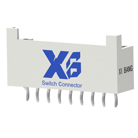 XB-X25-CIEP-09P1VKP-NH