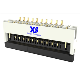 XB-FPC-CF-2510xD0R0-10-NH