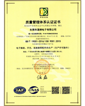 ISO 9001质量管理体系认证 中文