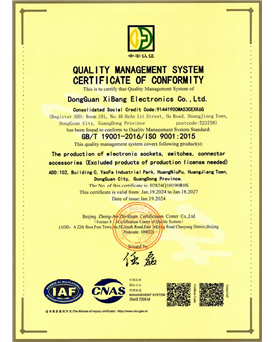 ISO 9001质量管理体系认证 英文